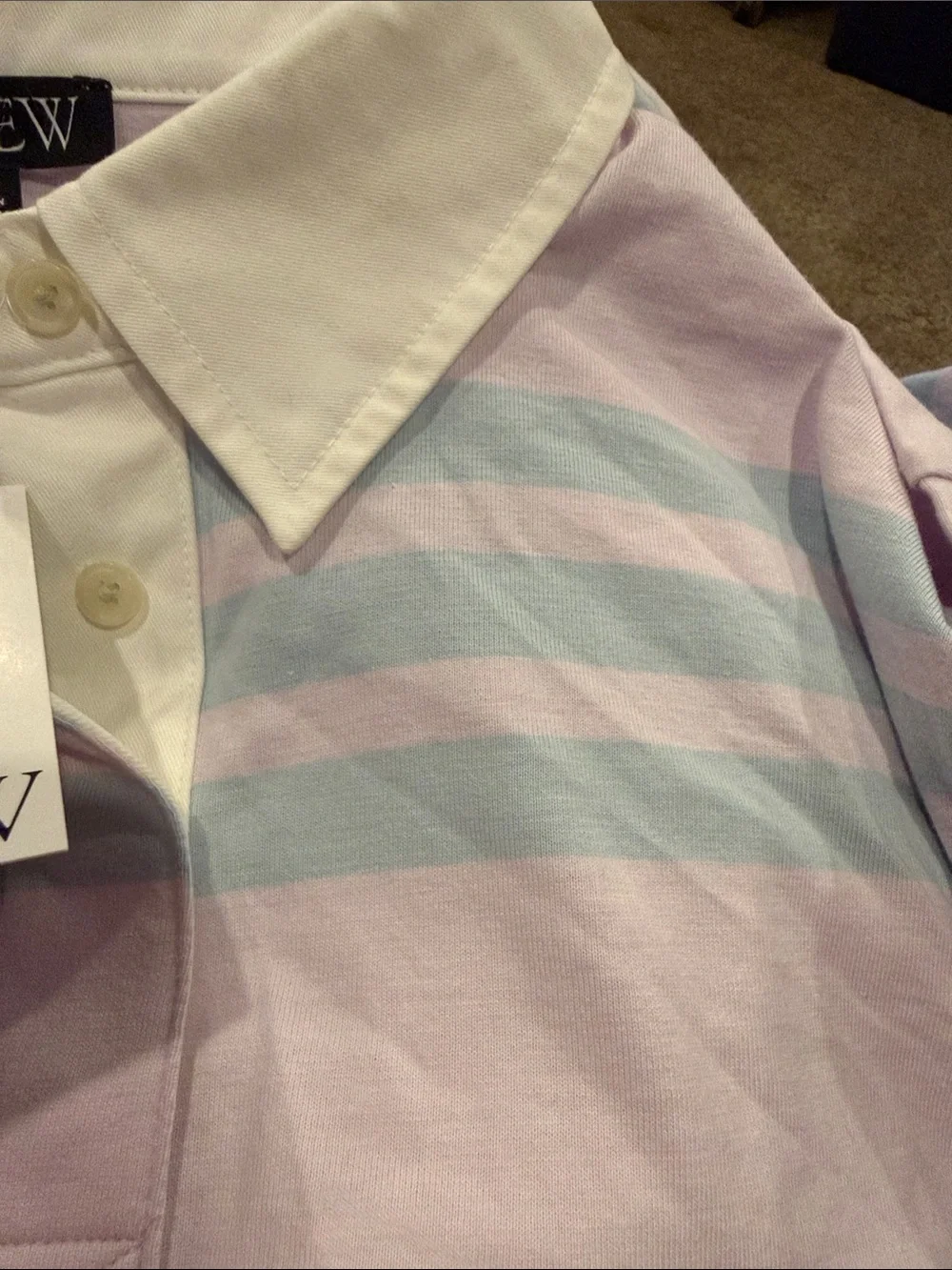 J. Crew Long-Sleeve Rugby Polo in Light purple with Aqua Stripes